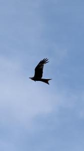 Dépendance du château de Remehan rénovée avec goût