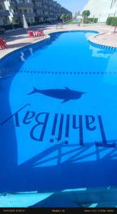 شاليه تاهيتي باي الساحل الشمالي