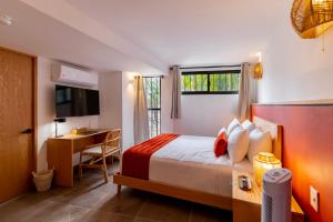 Raices Nomadas Boutique Hotel Vallarta