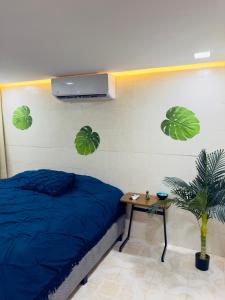 360 Oasis cuarto sensorial - Mercado 28