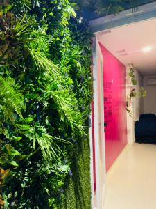 360 Oasis cuarto sensorial - Mercado 28