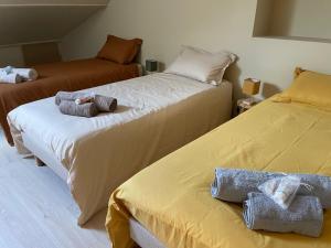 Gîte calme près de La Flèche, idéal pour familles - FR-1-410-479