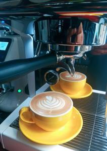 Papabo Backpackers Mactan