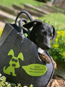 ALPENHOTEL TYROL - B&B - ADULTS ONLY - Alpines Lifestylehotel - BIO & Nachhaltig