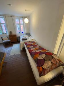 Cozy City Center Chambers with Kitchen and Garden