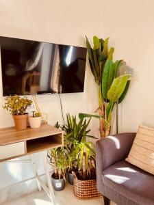 patio de luja centro parking y piscina