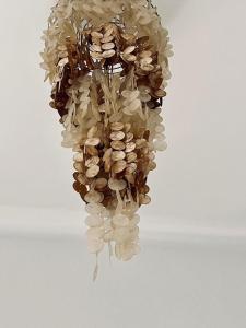 patio de luja centro parking y piscina