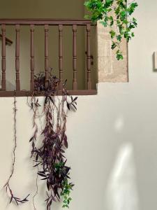 patio de luja centro parking y piscina