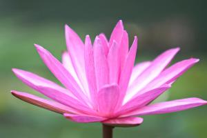 Mekong Long Thanh Resort & Reststop