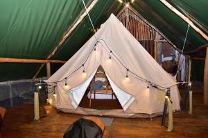 Ella Soul Nest Glamping Tent for Nature Lovers