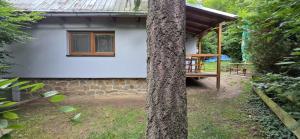 Chata v Jedovnicích u rybníka Olšovec