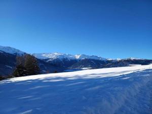 Chalet in Königsleiten by Zillertal Ski Arena