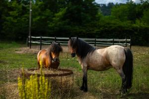 Hodina - Holiday house Rentals