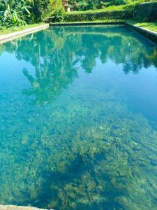 Tereng Kuning Cottages