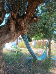 CASA PORTUGUESA piscine 1h15 Lisboa