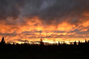 Villas VILLA NIMES BARTHEROES 3 Chambres : photos des chambres