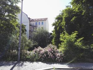 Amsterdam-Einraumwohnung