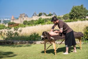 Villas L'ecrin de la Cite, Grand Panorama, vue unique sur les remparts de Carcassonne : photos des chambres