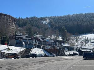 Appartements Le Chamois - Au pied des Pistes : photos des chambres