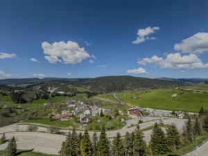 Appartements Le Chamois - Au pied des Pistes : photos des chambres