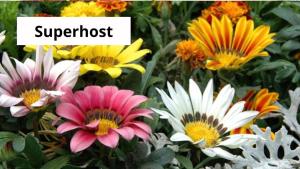 La Maison de Famille img18