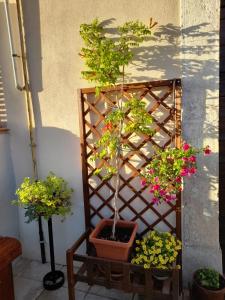 B&B Larco Fiorito