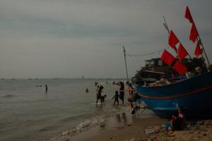 Homestay Cây bàng biển