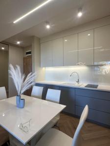 Blue Apartament z widokiem na morze Dziwnówek