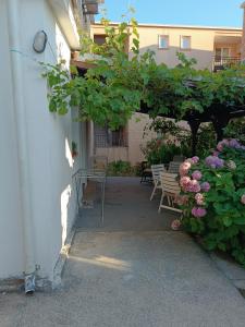 M6 olive tree studio