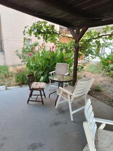 M6 olive tree studio