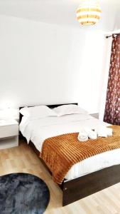 Appartements Mediterranee : photos des chambres