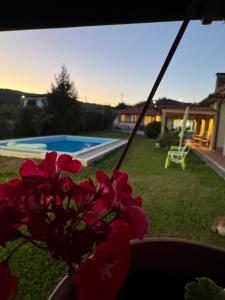 Oliveiras Little House