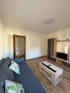 Apartamentos Turísticos -LEÓN ANTIGUO-