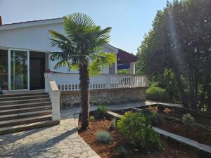 House Bianca with garden