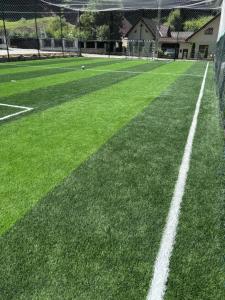 Pensiunea Casa David