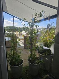 ROOF TOP 50m2 VUE MER !! à 2 mn à pied de la PLAGE et de la THALASSOTHERAPIE !