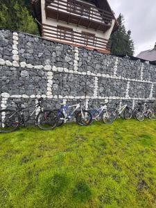 Panorama House Lipno