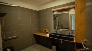 Appart'hotels Les Villas du Parc de la Chabotterie : photos des chambres
