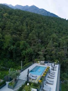 Avidea - Adults Only