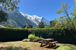 Spacious chalet in Chamonix with Mont Blanc view