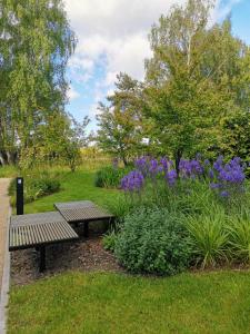 LTS RENT Baltic Haven Luxury&Comfortable