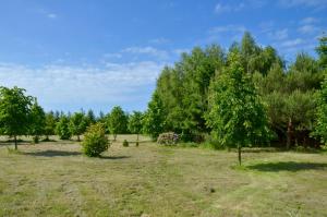 Green Field Apartments