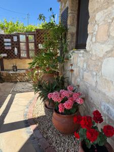 I Folia Village house with roof garden and terrace