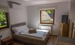 Stara ribogojnica & Pohorska postrv