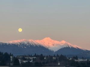 Beautiful home near City centre!