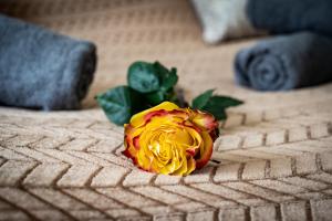 Bohemian Deluxe Suite