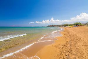 Nektar Luxury Apartment