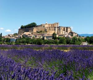Maisons de vacances Charming Provencal Retreat with a Lush Private Courtyard : Maison de Vacances 3 Chambres 