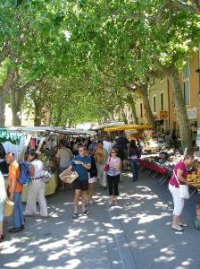 Charming Provencal Retreat with a Lush Private Courtyard