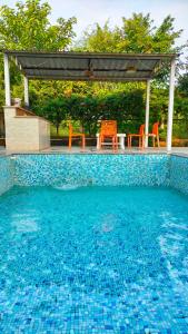 The Serenity Retreat